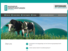 Tablet Screenshot of nefigmann.de